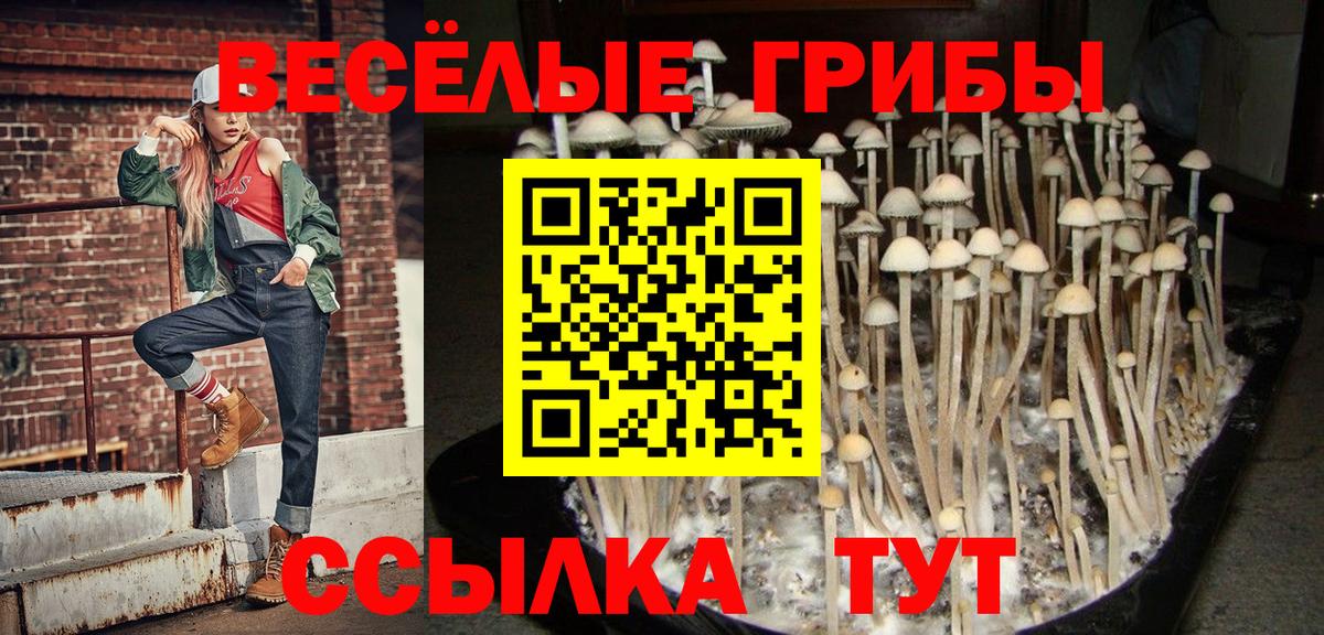Волжск  Псилоцибиновые грибы ЛСД  Вход с VPN 