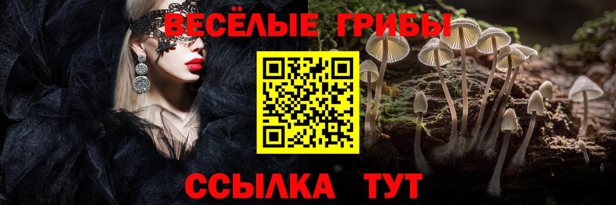 Псилоцибиновые грибы Psilocybe Волжск